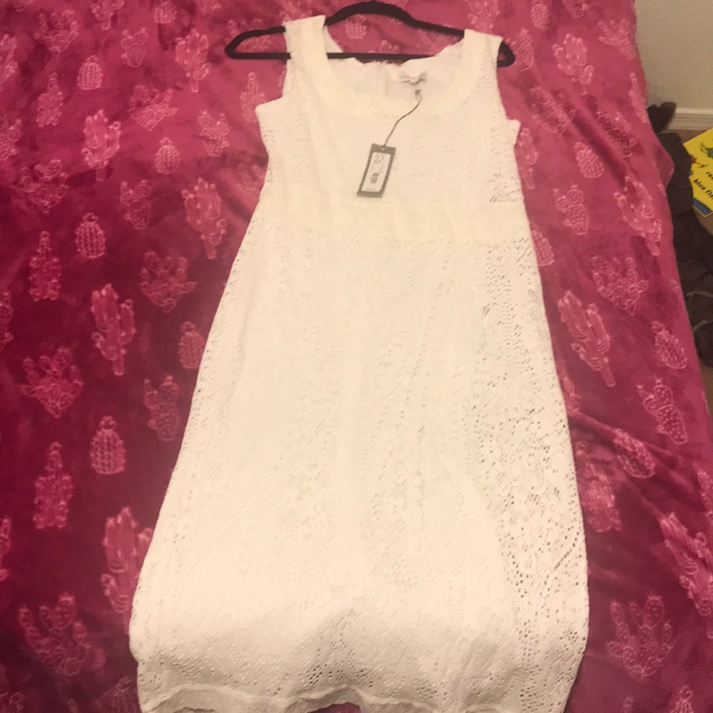 NWT beautiful white lace midi dress